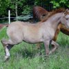 Anastasia_02_06