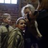 Attaya_Stutfohlen_08_06