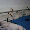 p_wurf_woche_1_21