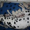 p_wurf_woche_1_26