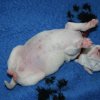p_wurf_woche_1_29
