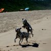 portugal_strand_ball_spielen_01