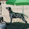 portugal_strand_clayton_01