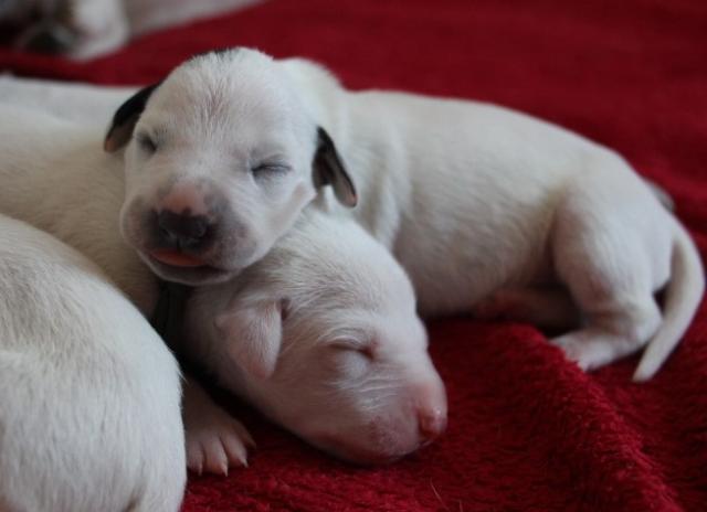 babies 15 Copy