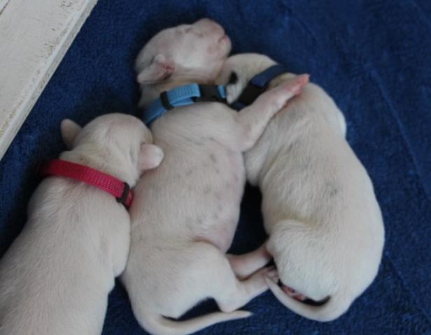 babies 6 Copy