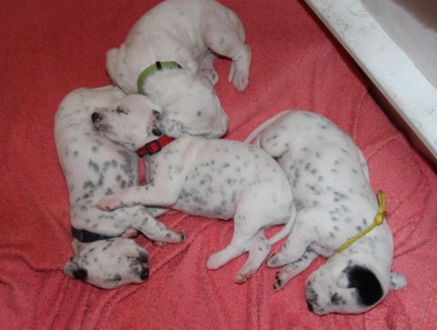 babies 15 Copy
