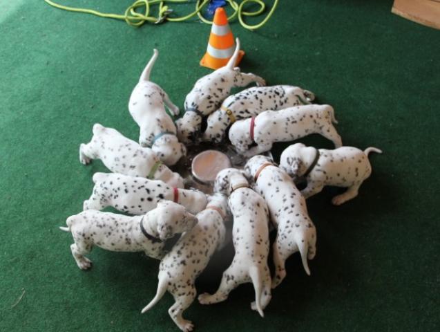 babies 24 Copy