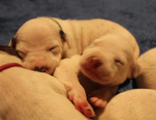 babies 11 Copy