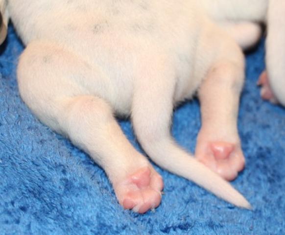 babies 16 Copy