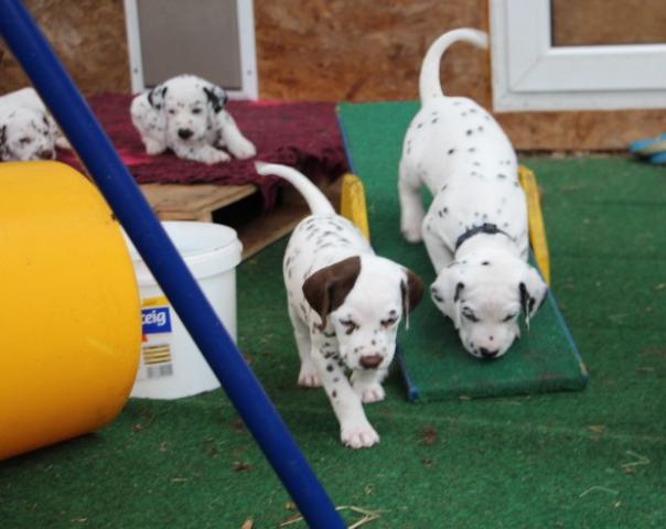 babies 13 Copy