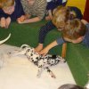 kindergartenbesuch_6_woche_12