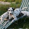 k_wurf_7_woche_123