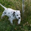 k_wurf_7_woche_126