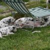 k_wurf_7_woche_24