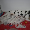 m_wurf_2_woche__32