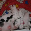 m_wurf_2_woche__50