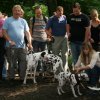 dalmatinerausflug_august__48