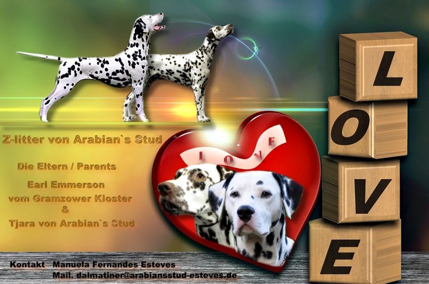 love 1504935 960 720